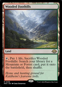 Wooded Foothills Modern Horizons 3